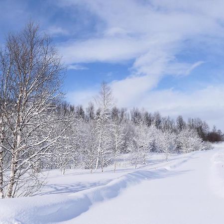 Wild Caribou'S Wildwood Cabin Лаксэльв Экстерьер фото