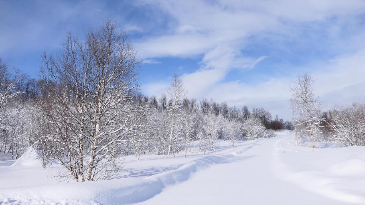 Wild Caribou'S Wildwood Cabin Лаксэльв Экстерьер фото